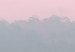 Obraz Mgła o poranku - pastelowy, romantyczny pejzaż w różach i zieleniach 119155 additionalThumb 4