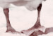 Quadro moderno Oca nevosa - paesaggio pastello con un uccello sulla spiaggia 124955 additionalThumb 4