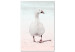 Quadro moderno Oca nevosa - paesaggio pastello con un uccello sulla spiaggia 124955