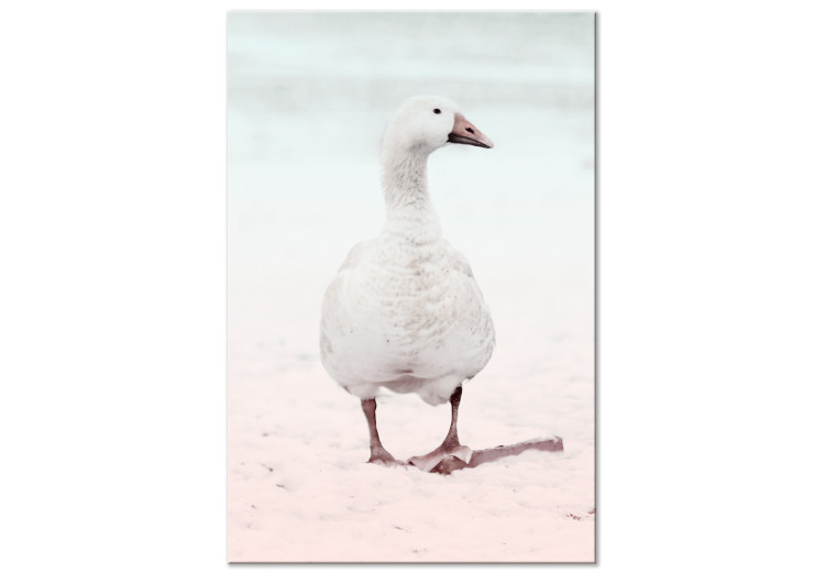 Canvas Snow goose - pastel landscape with bird walking on the beach