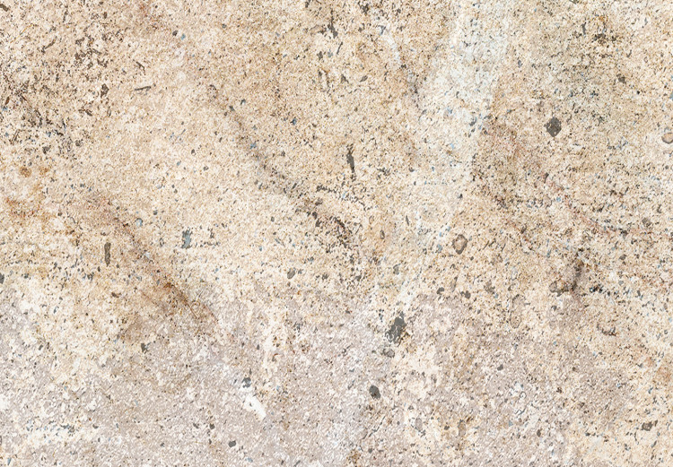 Carta da parati moderna Monolito - sfondo uniforme con texture di cemento beige 142955 additionalImage 4