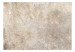 Carta da parati moderna Monolito - sfondo uniforme con texture di cemento beige 142955 additionalThumb 1