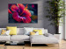 Quadro Exotic Flower - Colorful Floristic Motif in Close-up 149855 additionalThumb 3