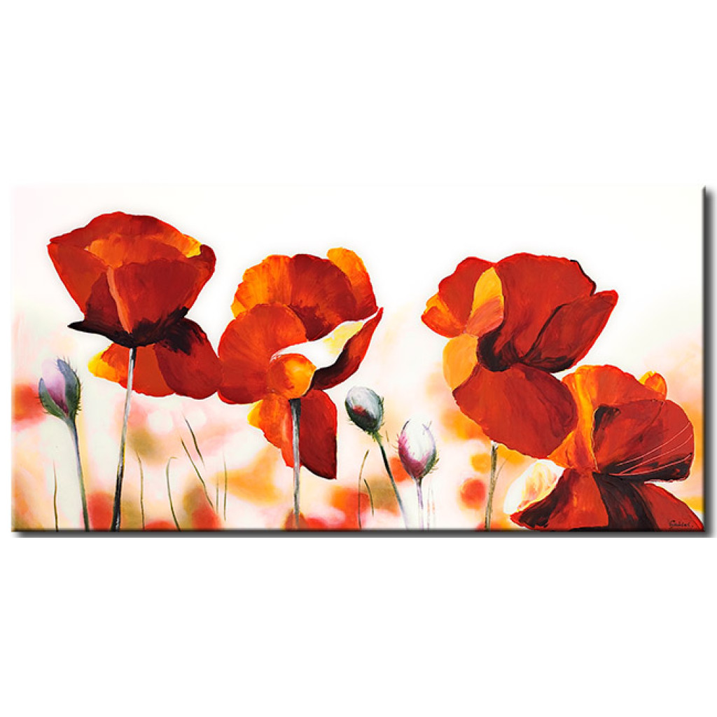 Schilderij  Klaprozen: Close-up Van Klaprozen (1-delig) - Bloemenmotief Met Rode Bloemen