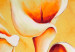 Tableau tendance Callas en couleur crème 48755 additionalThumb 4
