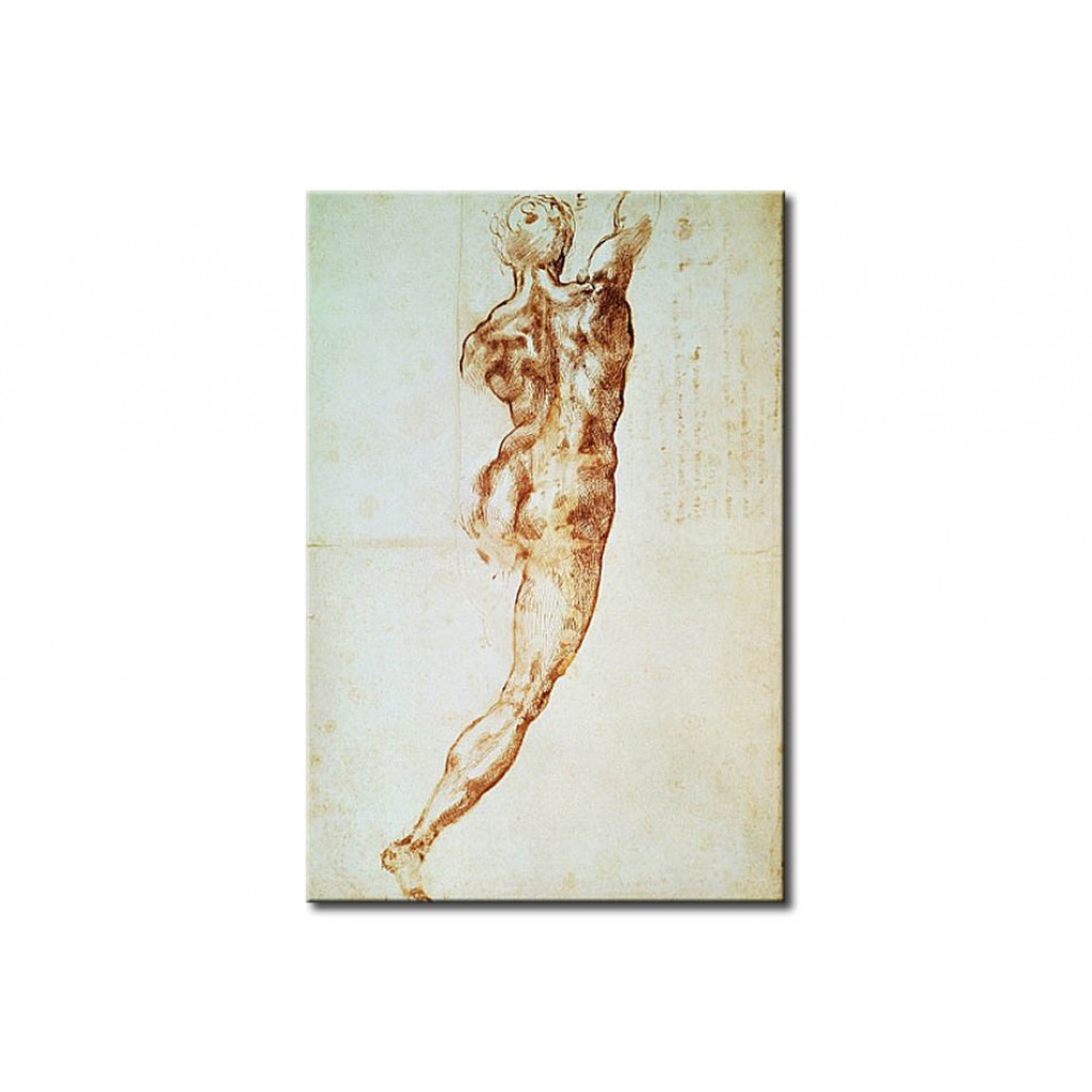 Schilderij  Michelangelo: Nude, Study For The Battle Of Cascina
