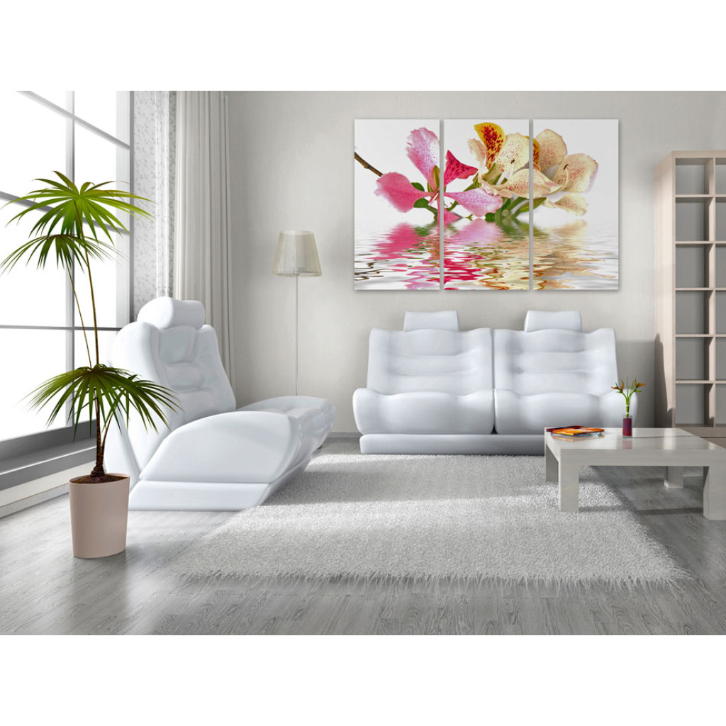 Schilderij  Orchideeën: Orchideeën Met Roze Vlekken