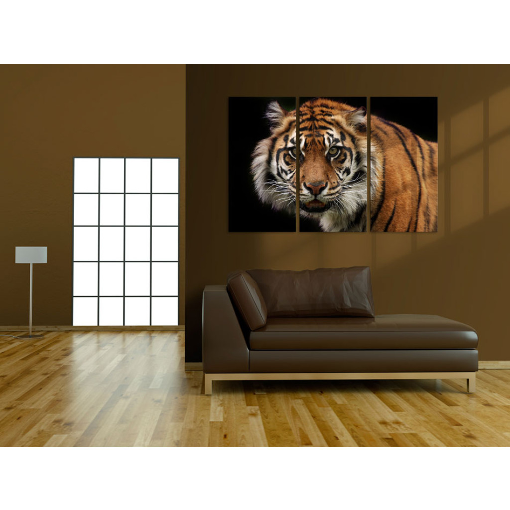 Schilderij  Katten: A Wild Tiger