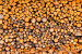 Fototapeta Drewniane kłody - deseń przekrojonych ściętych pni drzew do kominka 61055