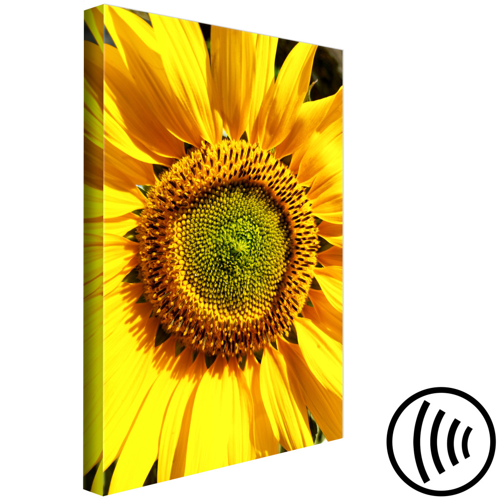 Quadro Pintado Young Sunflower (1 Part) Vertical