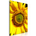 Obraz Dojrzały słonecznik (1-częściowy) pionowy 129365 additionalThumb 2