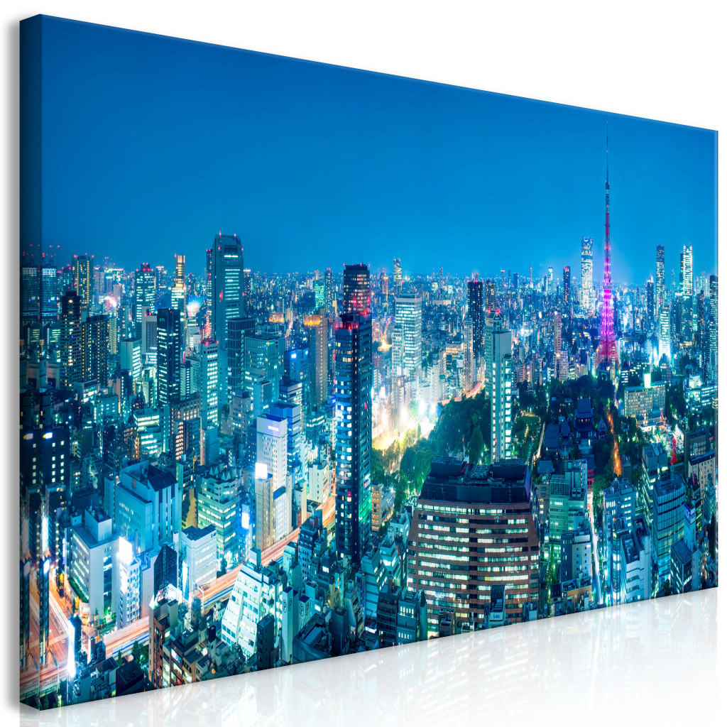 Duży Obraz XXL Tokio: Miasto Wieżowców II [Large Format]