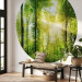 Round wallpaper Forest in the Sunshine - Lush Deciduous Trees in the Morning 149165 additionalThumb 3