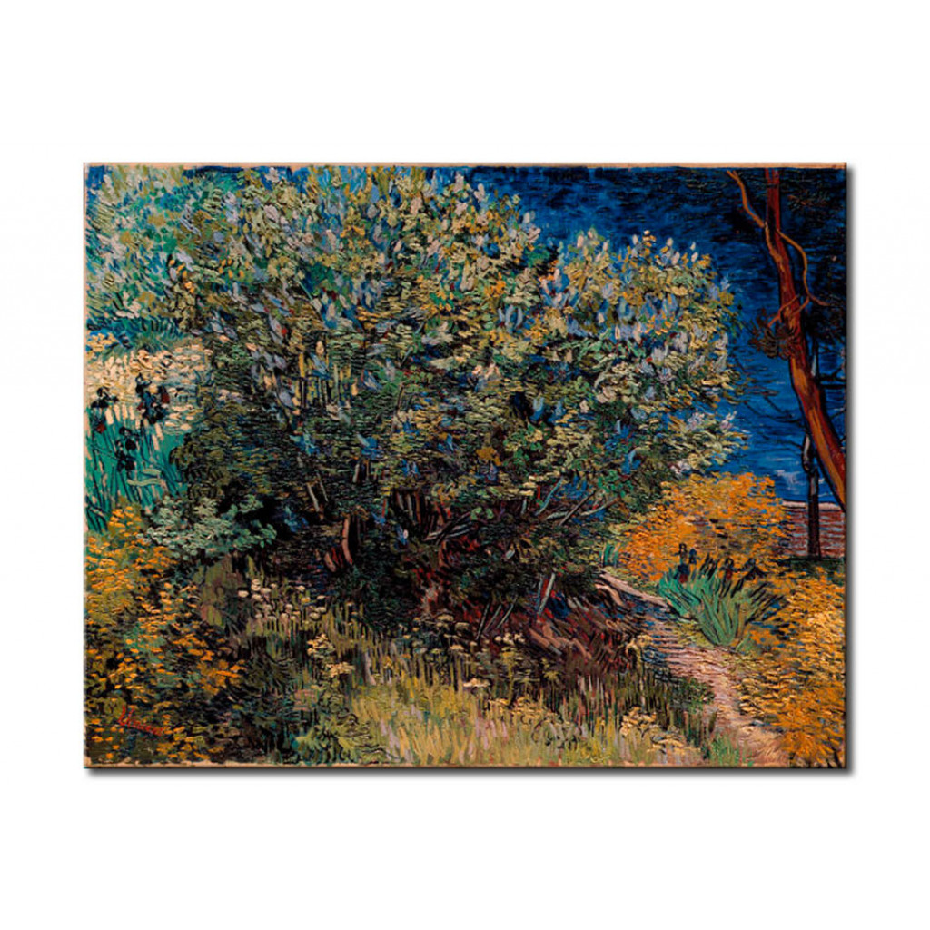Schilderij  Vincent Van Gogh: Lilacs