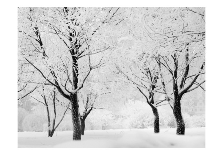 Wall Mural Trees - winter landscape 60265 additionalImage 1