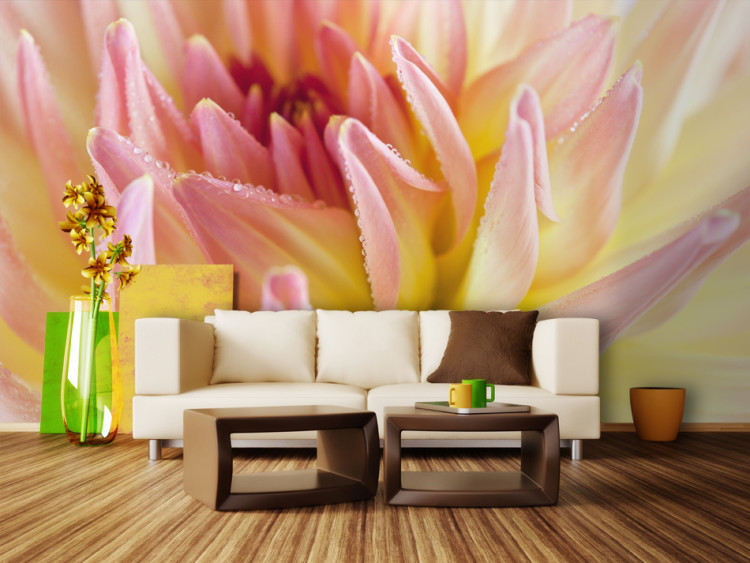 Mural de parede Colorido pastel flor da dália com gotas de orvalho 60665