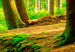 Mural Forest Stream 97365 additionalThumb 4