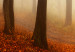 Bild auf Leinwand Morning Fog 98565 additionalThumb 4
