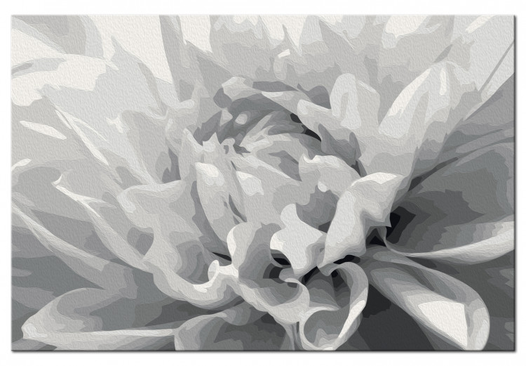 Tableau à peindre soi-même Fleur en noir et blanc 107175 additionalImage 5