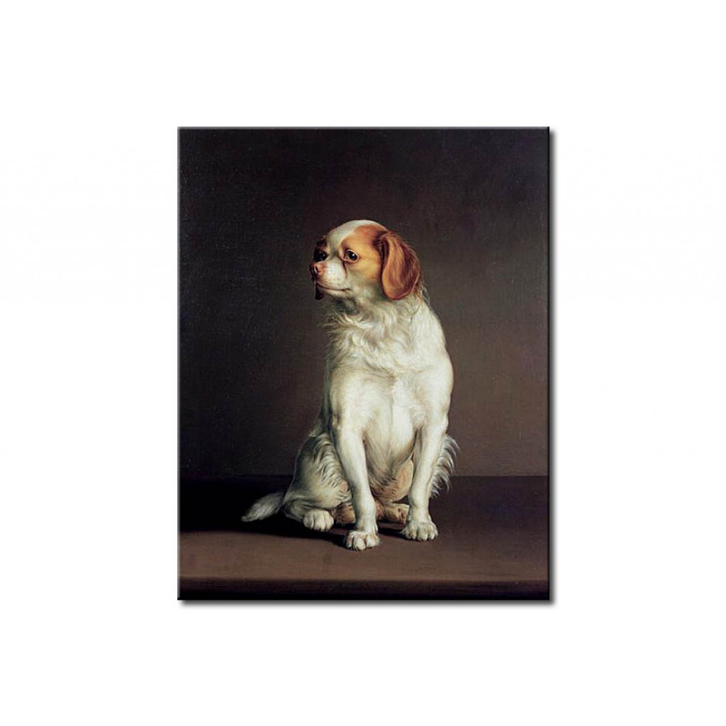 Reprodukcja Obrazu Portrait Of A King Charles Spaniel