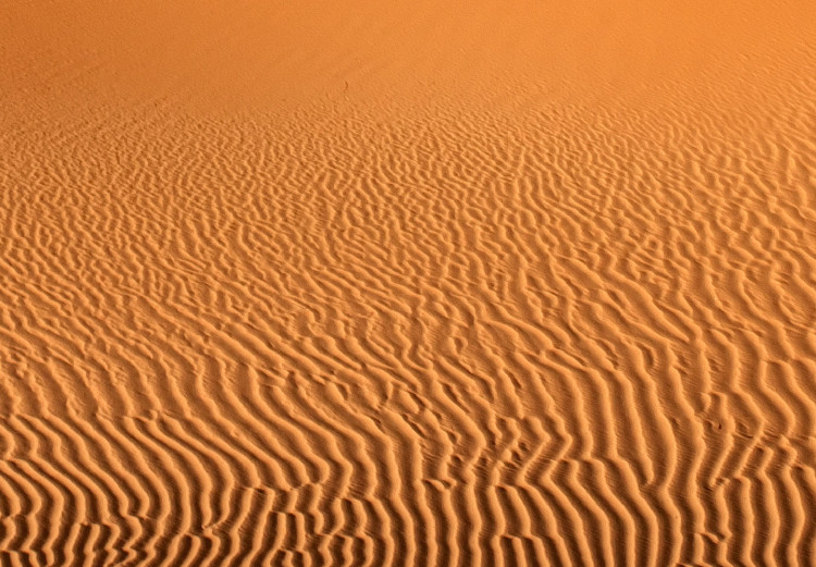 Obraz Pustynna wydma - jednobarwny, minimalistyczny pejzaż z piaskiem 116475 additionalImage 5