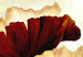 Obraz Świecące maki (3-częściowy) 116775 additionalThumb 5