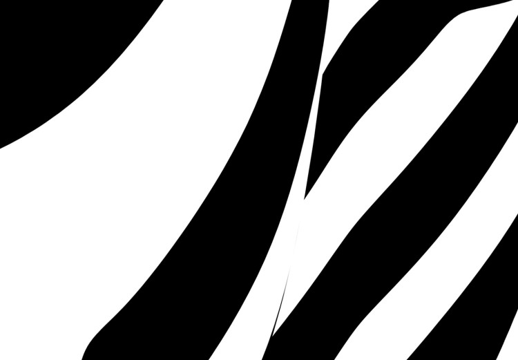 Tableau contemporain Zebra Woman (1 Part) Vertical 117075 additionalImage 4