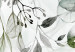 Obraz okrągły Pnąca roślinność - zielone kwiaty, liście i owoce na jasnym tle 148675 additionalThumb 3