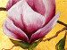 Tableau mural Magnolias roses 47475 additionalThumb 2