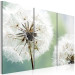Canvas Print Fluffy dandelions 58675 additionalThumb 2