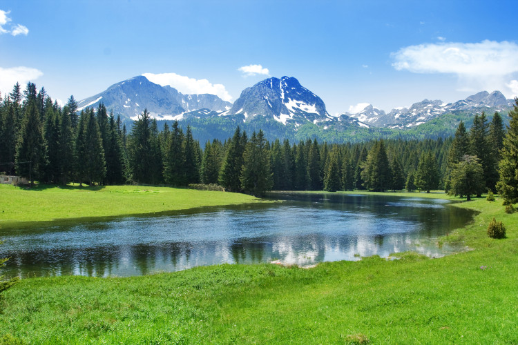 Wall Mural Durmitor National Park Landscape - Mountain Landscape with Forest and Sky 59975