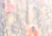 Tavla Vårens färger (1-del) - blommande valmuer på en äng full av blommor 116385 additionalThumb 5