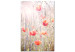 Tavla Vårens färger (1-del) - blommande valmuer på en äng full av blommor 116385