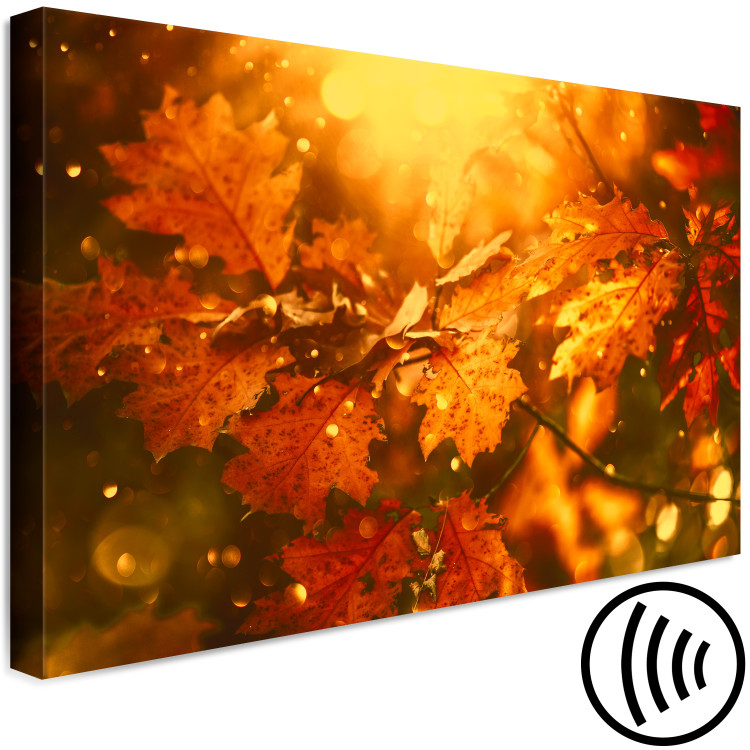 Obraz Jesienne liście dębu - zdjęcie złotych liści w promieniach słońca 123785 additionalImage 6