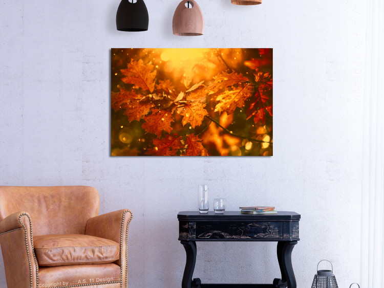 Obraz Jesienne liście dębu - zdjęcie złotych liści w promieniach słońca 123785 additionalImage 3