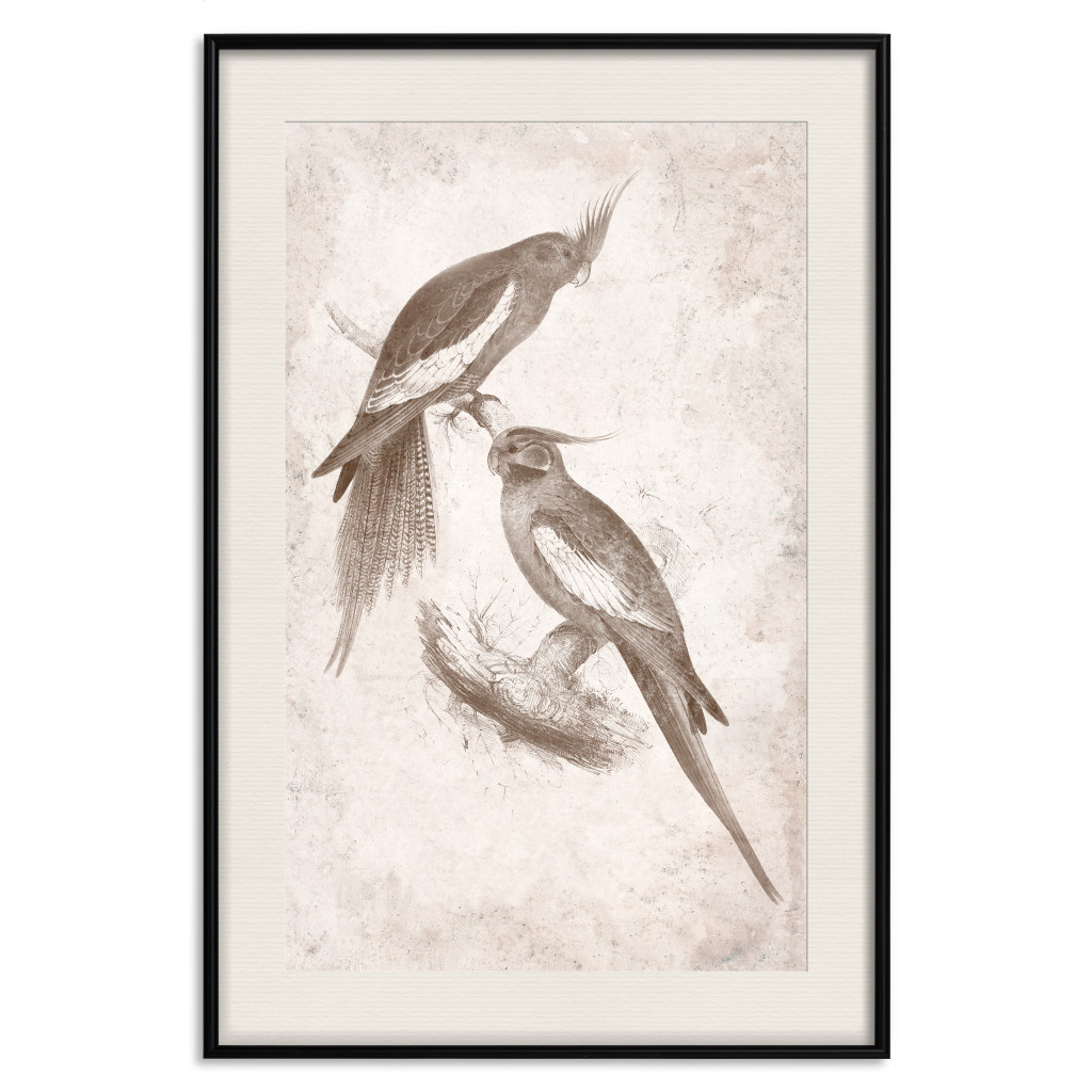 Poster Decorativo Parrots In The Style Of Boho - Two Birds On The Branches And A Light Background