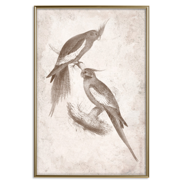Wall Poster Parrots in the Style of Boho - Two Birds on the Branches and a Light Background 145185 additionalImage 22