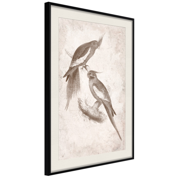 Wall Poster Parrots in the Style of Boho - Two Birds on the Branches and a Light Background 145185 additionalImage 6