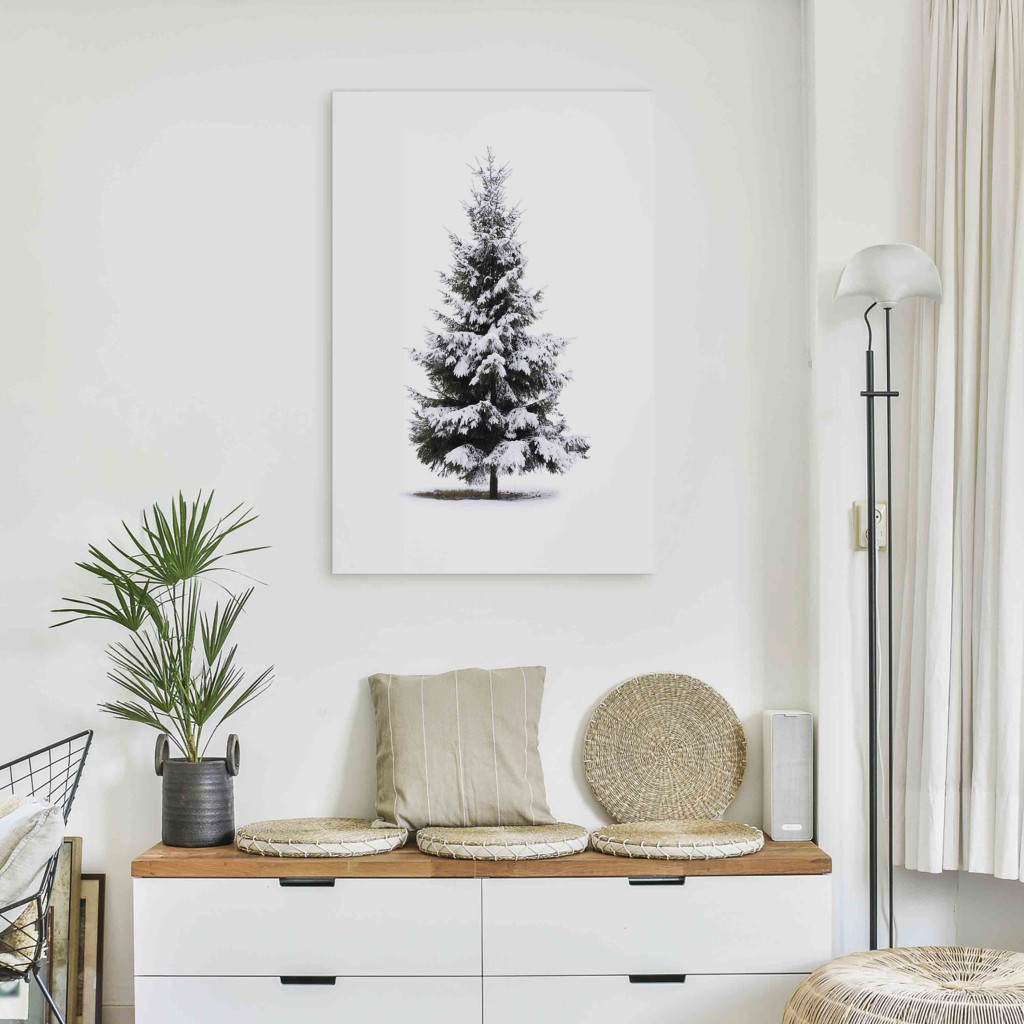 Obraz Zimowe Drzewko - świerk Przykryty śniegiem Na Białym Ośnieżonym Tle
