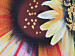 Tableau mural Trois tournesols au coucher du soleil (3 pièces) - Motif floral 47185 additionalThumb 3