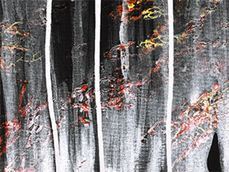 Tableau mural Argent avec des trous (4 pièces) - Abstraction avec des motifs noirs 47385 additionalImage 2