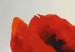 Bild auf Leinwand Mohnblumen im Nebel (3-teilig) - Rote Blumen auf weißem Hintergrund 47585 additionalThumb 3