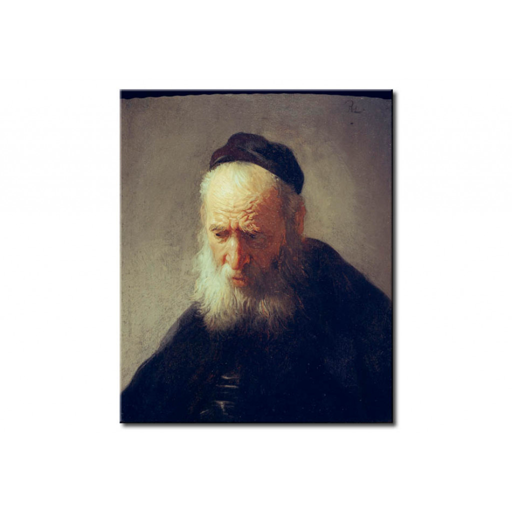Schilderij  Rembrandt: Head Of An Old Man