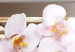 Obraz Orchidea i ogród zen 55485 additionalThumb 5