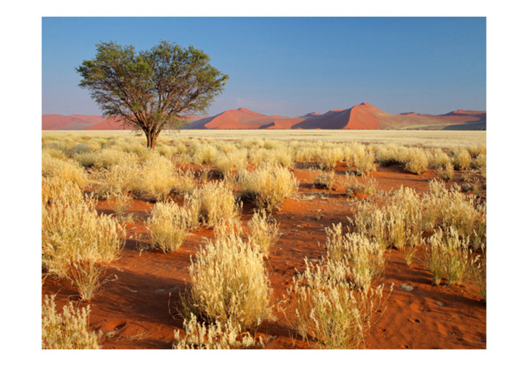 Carta da parati Paesaggio deserto, Namibia 60285 additionalImage 1