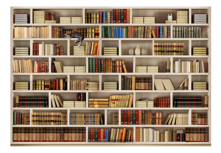 Wall Mural Home library 61185 additionalImage 1