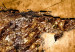 Decoración en corcho Shade of Gold [Cork Map] 92185 additionalThumb 5