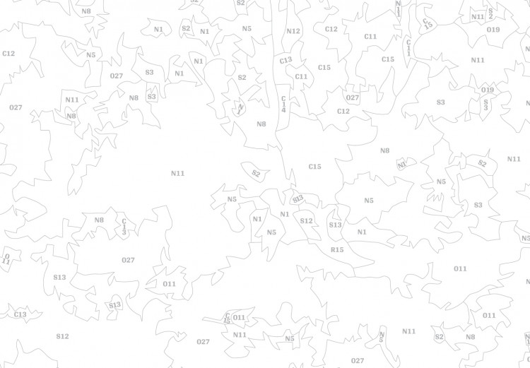 Obraz do malowania po numerach Mapa świata (kolory ziemi) 107495 additionalImage 4