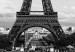  Black and White Eiffel Tower [Large Format] 128395 additionalThumb 4