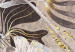 Foto Tapete Exotische Landschaft - Abstraktion mit grauen Mustern und Blättern 138595 additionalThumb 3